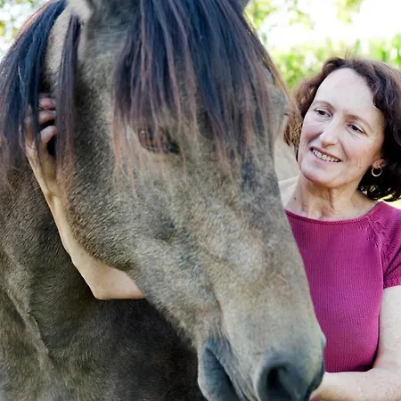 Ferme De L'abbaye St-feuillien 3* Le Roeulx