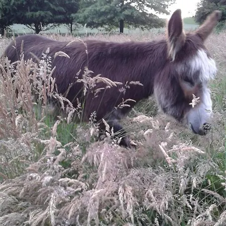 Couette-café Ferme De L'abbaye St-feuillien Le Roeulx